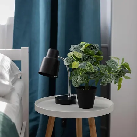 Cozy With Desk Near Potulicki Park By Renters *